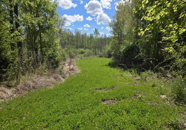 2nd image of 15252 27 Mile Rd, Albion, MI 49224 | MLS# 50208046