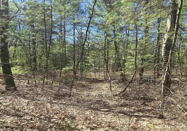 1st image of 4699 Johnson Rd, Oscoda, MI 48750 | MLS# 80070719