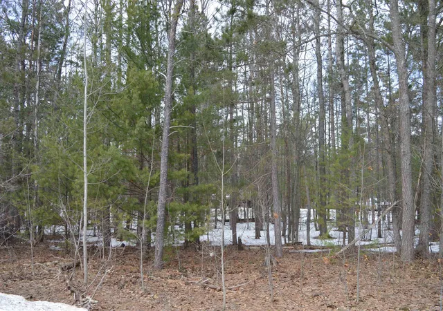 3rd image of 1971 Bunker Dr, Kalkaska, MI 49646 | MLS# 80065972