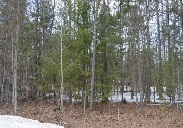 4th image of 1971 Bunker Dr, Kalkaska, MI 49646 | MLS# 80065972
