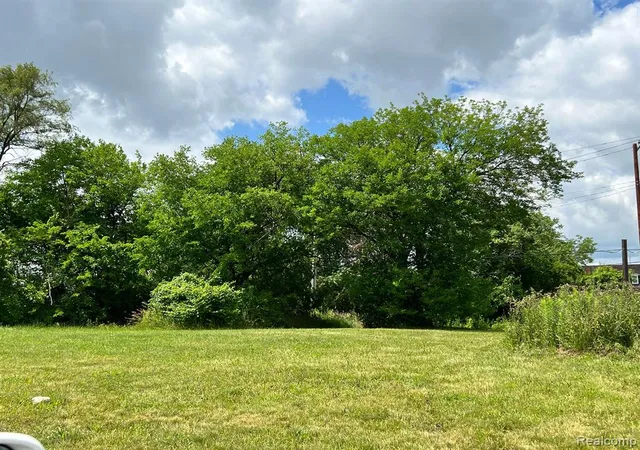 1st image of 571 E Edsel Ford Fwy, Detroit, MI 48202 | MLS# 60301134
