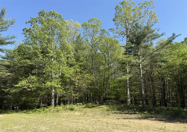 Homes for sale in Pentwater, MI | 375 Acres Wayne Rd, Pentwater, MI 49449 | MLS# 70508070