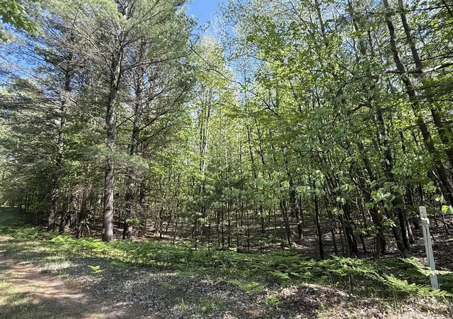 Homes for sale in Pentwater, MI | 375 Acres Wayne Rd, Pentwater, MI 49449 | MLS# 70508070