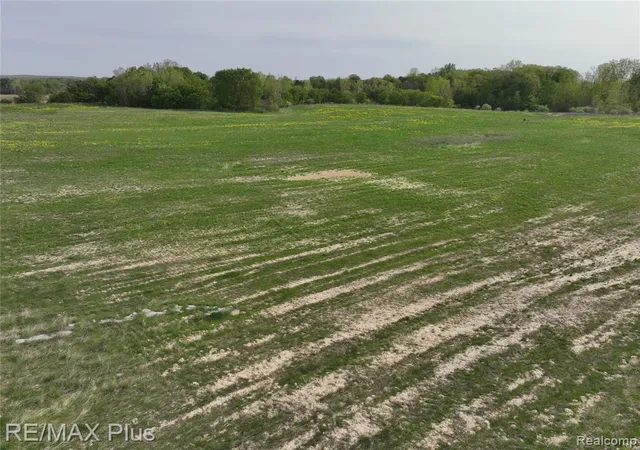 Photo 4 of Land for sale at 00 Woodbridge Park Ave, Lapeer, MI 48446 | MLS# 60989856 | Listing updated on 2026-07-07