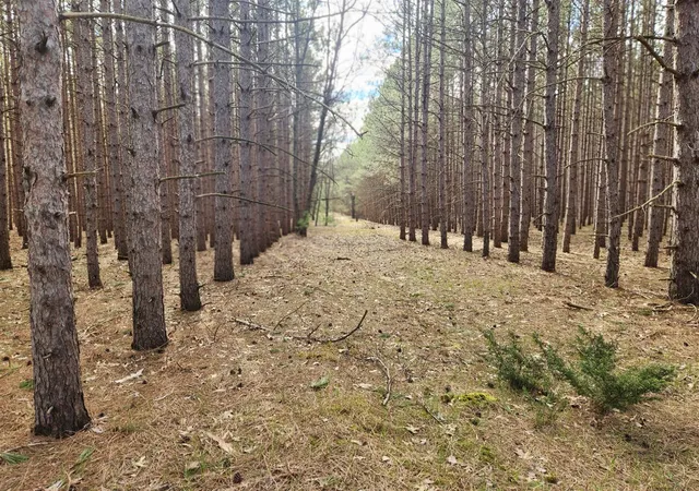1st image of 2398 Bittersweet Dr, Manistee, MI 49660 | MLS# 70530310