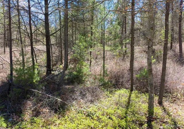 Homes for sale in East Tawas, MI | 000 Scott Rd, East Tawas, MI 48730 | MLS# 60996726