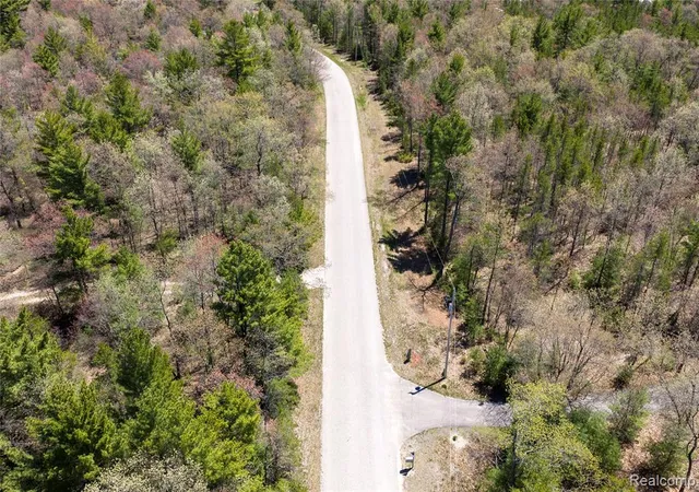 Homes for sale in East Tawas, MI | 000 Scott Rd, East Tawas, MI 48730 | MLS# 60996726