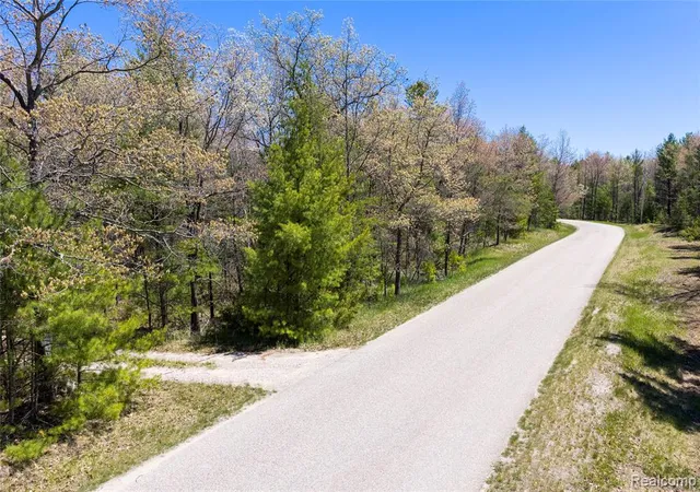 Homes for sale in East Tawas, MI | 000 Scott Rd, East Tawas, MI 48730 | MLS# 60996726