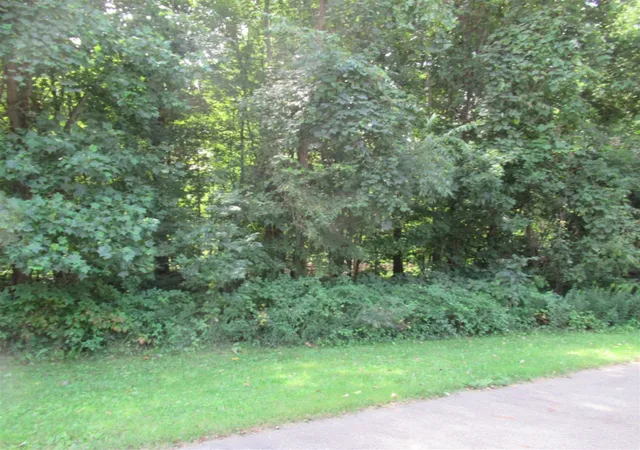 Homes for sale in Cassopolis, MI | Tract 1 Deep Woods Dr, Cassopolis, MI 49031 | MLS# 70509246