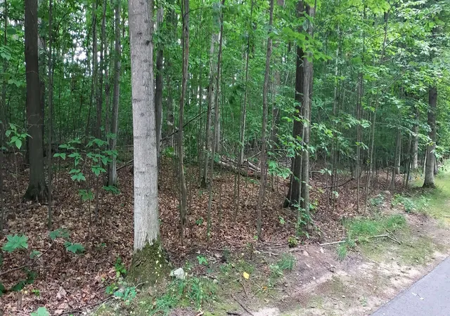 Photo 2 of Land for sale at 19 Beech Knoll, Bellaire, MI 49615 | MLS# 80072055 | Listing updated on 2026-08-10
