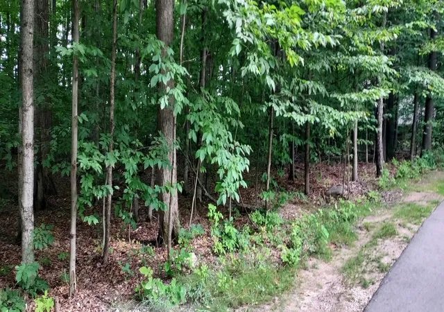 Photo 3 of Land for sale at 19 Beech Knoll, Bellaire, MI 49615 | MLS# 80072055 | Listing updated on 2026-08-10
