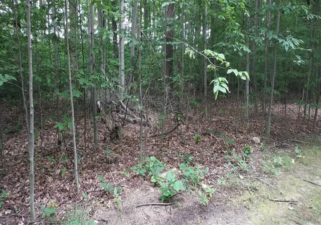 Photo 4 of Land for sale at 19 Beech Knoll, Bellaire, MI 49615 | MLS# 80072055 | Listing updated on 2026-08-10