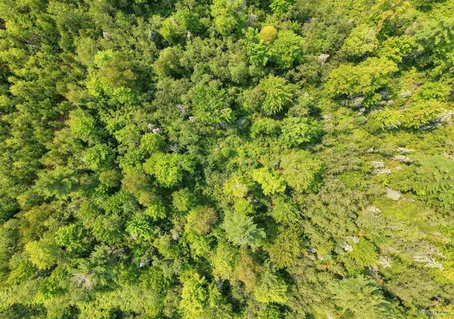 Photo 6 of Sale Pending at Tbd N Greenwood Lake Dr, Ishpeming, MI 49849 | MLS# 50218309 | Listing updated on 2026-08-14