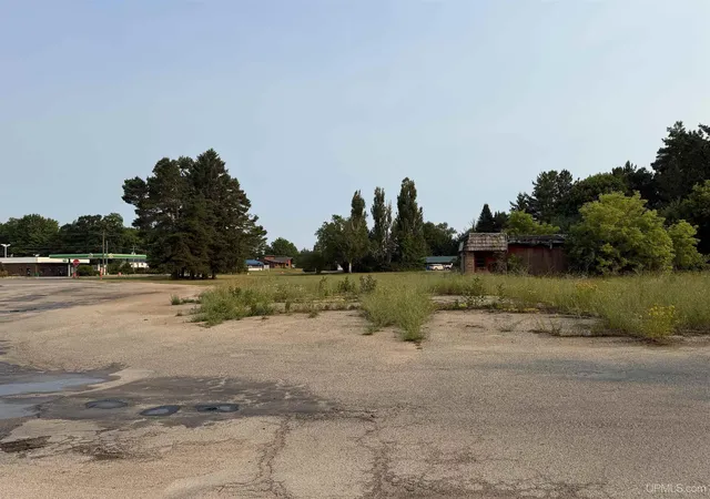 Land for sale at 130 Campbell Ave, Newberry, MI 49868 | MLS# 50214718