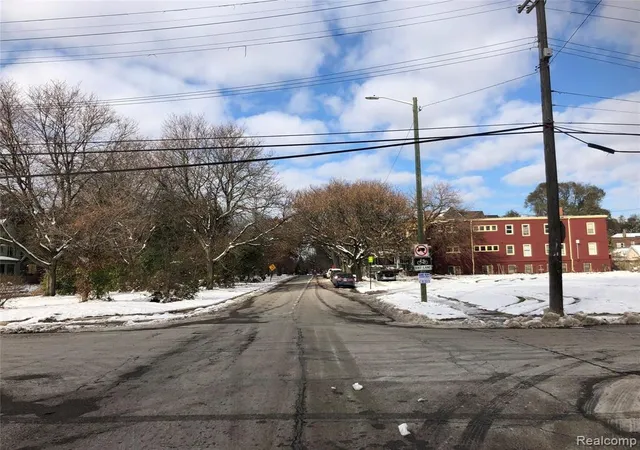 4th image of 346 W Grand, Detroit, MI 48216 | MLS# 40006163