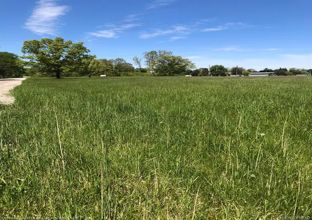 Photo 3 of Land for sale at 9999 24Th St, Port Huron, MI 48060 | MLS# 60317432 | Listing updated on 2026-05-05