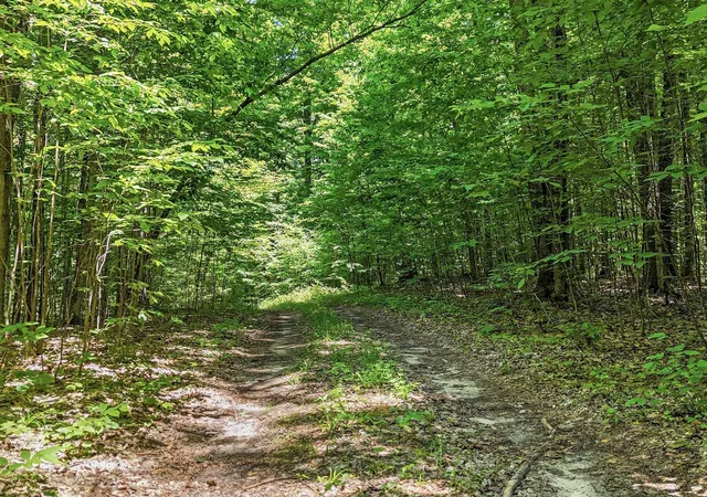 Homes for sale in Mancelona, MI | Parcel 4 Oslund Rd, Mancelona, MI 49659 | MLS# 80070396