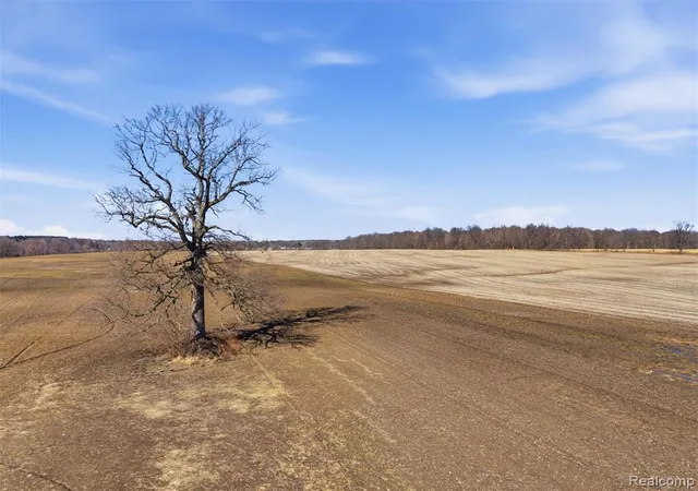 Homes for sale in Attica, MI | 0 Imlay City Rd, Attica, MI 48412 | MLS# 60980722