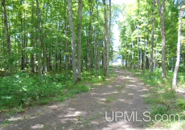 Photo 2 of Sale Pending at Tbd E Shore Rd, Marenisco, MI 49947 | MLS# 50219052 | Listing updated on 2026-08-19