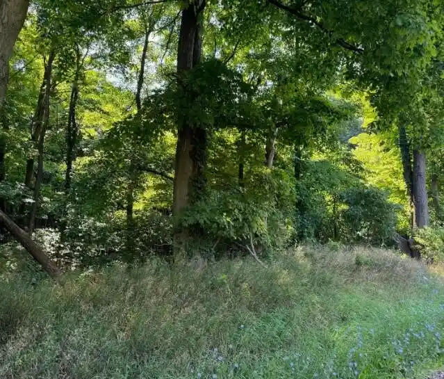 Photo 1 of Land for sale at 30 62nd Street, Decatur, MI 49045 | MLS# 70563138 | Listing updated on 2026-10-14