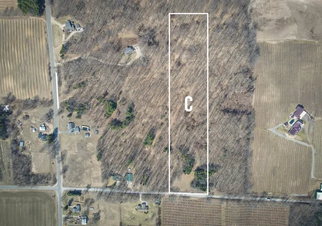 Homes for sale in New Era, MI | Parcel C W Grant Rd, New Era, MI 49446 | MLS# 70508831