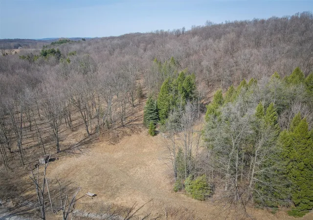 Homes for sale in New Era, MI | Parcel C W Grant Rd, New Era, MI 49446 | MLS# 70508831