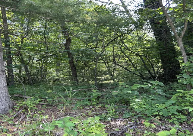 Land for sale at Vl_828 Choctaw Trl, West Branch, MI 48661 | MLS# 80072170
