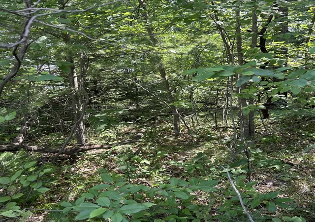 Photo 2 of Land for sale at Vl 828 Choctaw Trl, West Branch, MI 48661 | MLS# 80072170 | Listing updated on 2026-08-13