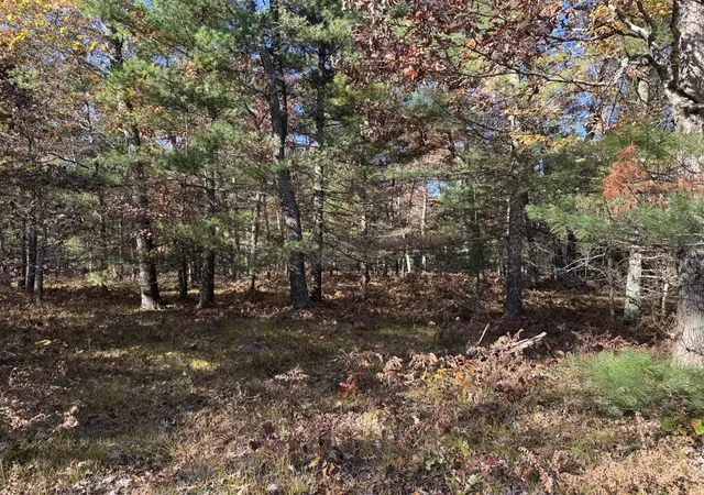 Photo 3 of Land for sale at Parcel 3 County Line Rd, Free Soil, MI 49411 | MLS# 70519664 | Listing updated on 2026-09-21