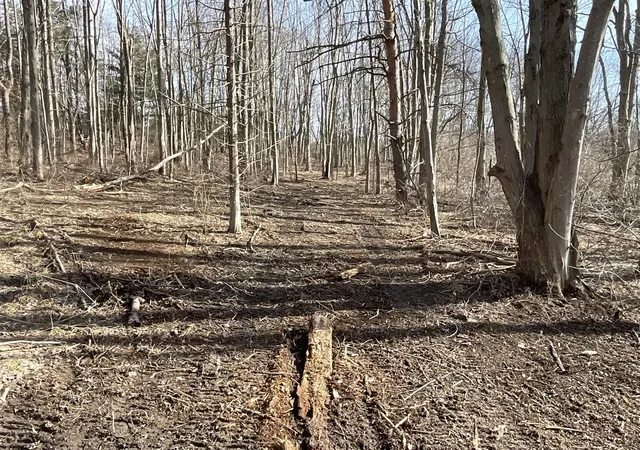 Photo 3 of Land for sale at E2 70th St, South Haven, MI 49090 | MLS# 70460852 | Listing updated on 2026-04-07
