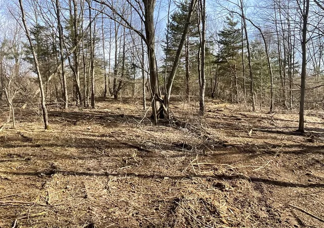 Photo 4 of Land for sale at E2 70Th St, South Haven, MI 49090 | MLS# 70460852 | Listing updated on 2026-04-07