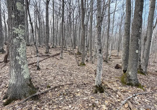 Photo 1 of Land for sale at Tbd Lot C Mohawk Gay Rd, Mohawk, MI 49950 | MLS# 50206819 | Listing updated on 2026-09-24