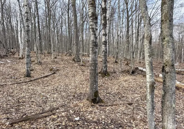 Photo 2 of Land for sale at Tbd Lot C Mohawk Gay Rd, Mohawk, MI 49950 | MLS# 50206819 | Listing updated on 2026-09-24