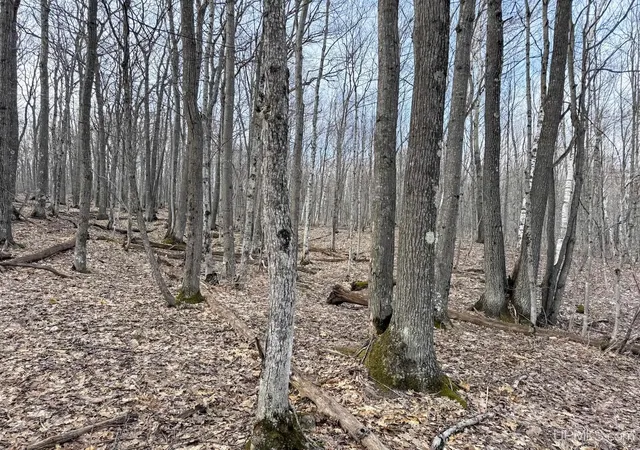 Photo 3 of Land for sale at Tbd Lot C Mohawk Gay Rd, Mohawk, MI 49950 | MLS# 50206819 | Listing updated on 2026-09-24