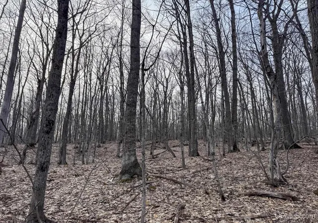 Photo 3 of Land for sale at Tbd Lot C Mohawk Gay Rd, Mohawk, MI 49950 | MLS# 50206819 | Listing updated on 2026-09-24