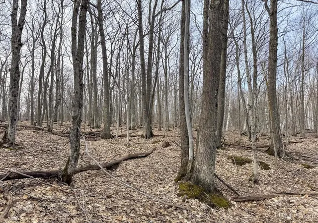 Photo 4 of Land for sale at Tbd Lot C Mohawk Gay Rd, Mohawk, MI 49950 | MLS# 50206819 | Listing updated on 2026-09-24