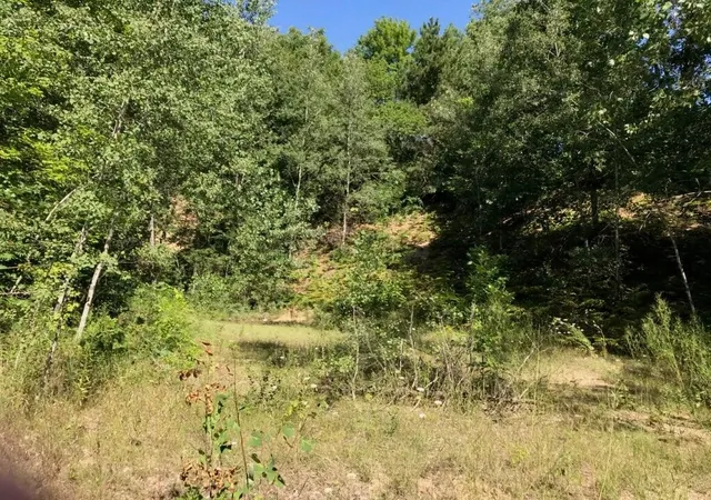 Homes for sale in Hesperia, MI | Lots 8 & 9 S Riverview Dr, Hesperia, MI 49421 | MLS# 70513756