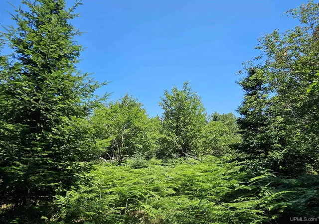 1st image of Tbd Parcel M22 River Trails Rd, Houghton, MI 49931 | MLS# 50214730