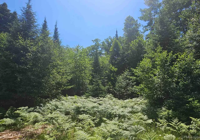 3rd image of Tbd Parcel M22 River Trails Rd, Houghton, MI 49931 | MLS# 50214730