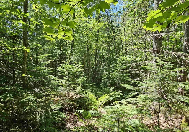 4th image of Tbd Parcel M22 River Trails Rd, Houghton, MI 49931 | MLS# 50214730