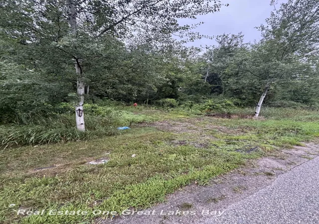 Photo 1 of Land for sale at 0 N Huron Rd, Pinconning, MI 48650 | MLS# 50216371 | Listing updated on 2026-07-29