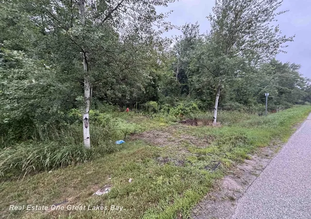 Photo 2 of Land for sale at 0 N Huron Rd, Pinconning, MI 48650 | MLS# 50216371 | Listing updated on 2026-07-29
