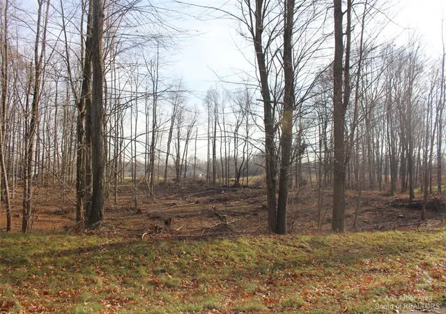Photo 1 of Land for sale at 0 Lindsey Unit 14 Rd, Jackson, MI 49201 | MLS# 70378327 | Listing updated on 2026-01-26