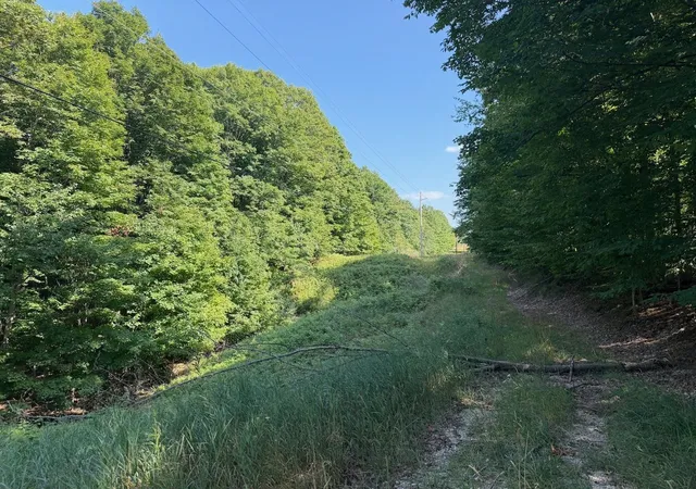 4th image of Unit 14 Ranch Dr, Bellaire, MI 49615 | MLS# 80072782