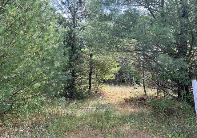 Photo 1 of Land for sale at 0 Cedar Lake Rd, Greenbush, MI 48738 | MLS# 80072853 | Listing updated on 2026-08-29