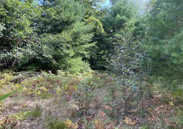 Photo 3 of Land for sale at 0 Cedar Lake Rd, Greenbush, MI 48738 | MLS# 80072853 | Listing updated on 2026-08-29