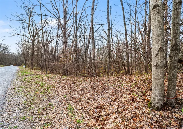 Land for sale at 6920 19 Mile Rd, Cedar Springs, MI 49319 | MLS# 70526885