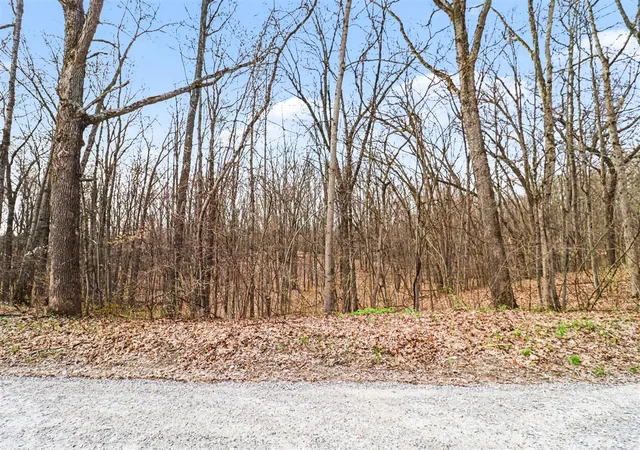 Photo 2 of Land for sale at 6920 19 Mile Rd, Cedar Springs, MI 49319 | MLS# 70526885 | Listing updated on 2026-08-24