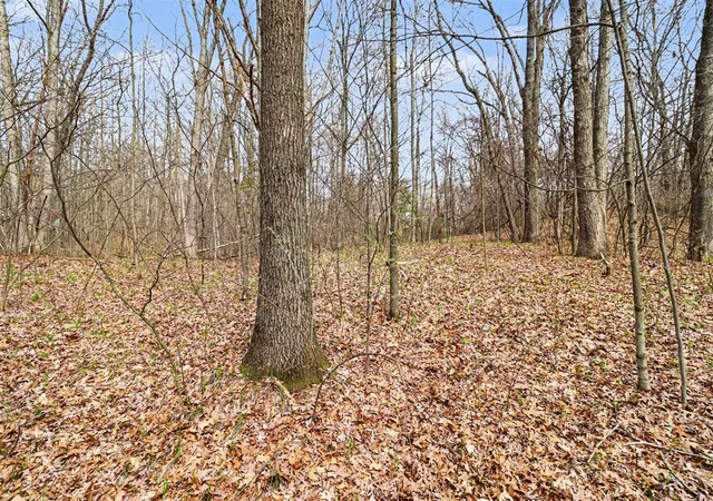 Photo 3 of Land for sale at 6920 19 Mile Rd, Cedar Springs, MI 49319 | MLS# 70526885 | Listing updated on 2026-08-24