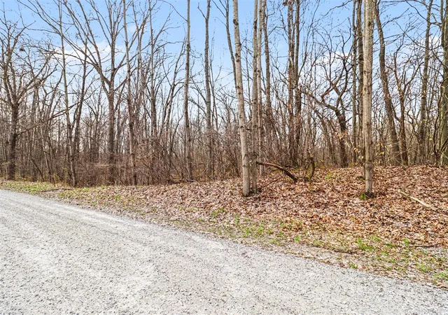 Photo 3 of Land for sale at 6920 19 Mile Rd, Cedar Springs, MI 49319 | MLS# 70526885 | Listing updated on 2026-08-24